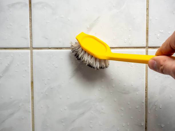 Best Office Mold Removal Services  in Bayonne, NJ